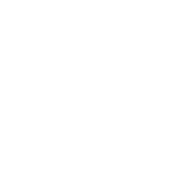 VN BizLab Logo