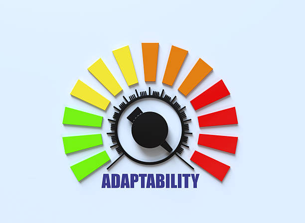 Workplace collaboration and adaptability