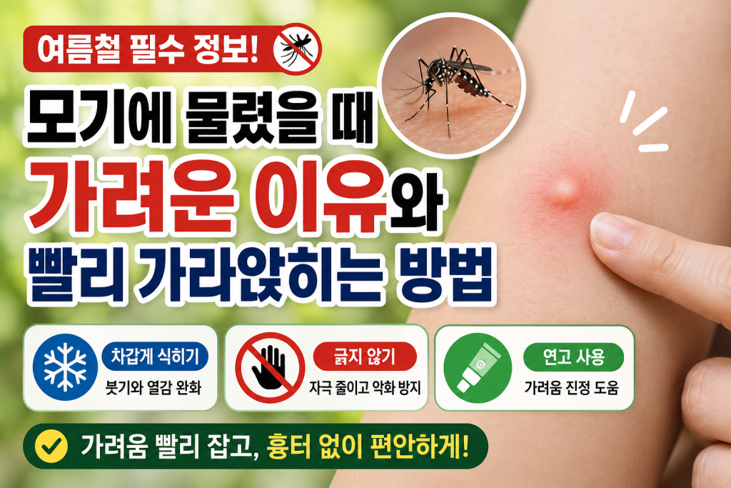 모기 물린 곳은 긁을수록 피부 자극이 심해질 수 있습니다.