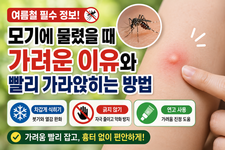 모기 물린 곳은 긁을수록 피부 자극이 심해질 수 있습니다.